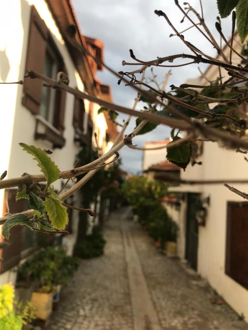 Silenos Boutique Hotel Seferihisar Zewnętrze zdjęcie